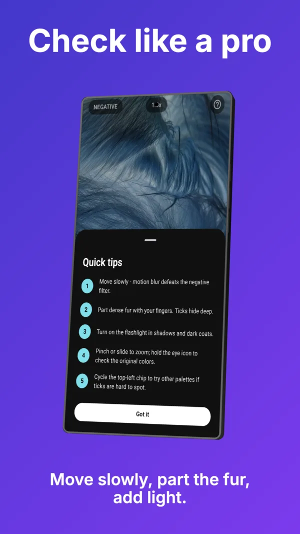 Tick Camera - Quick Tips